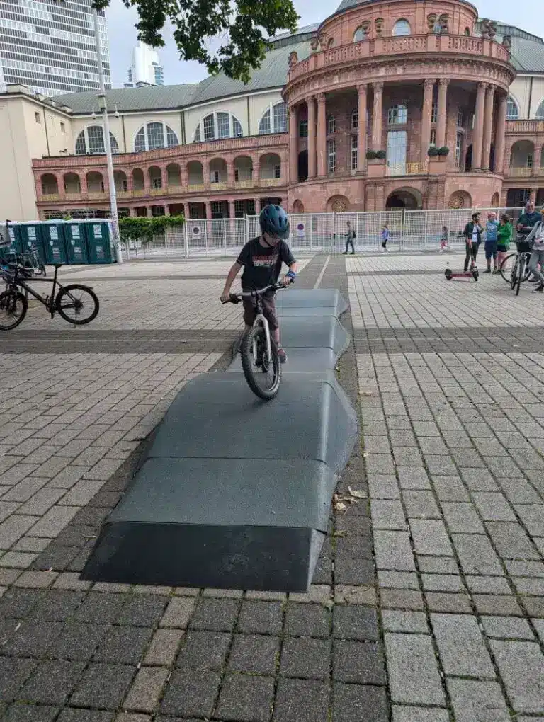 Wellenreiter Bicipus Ecopumptrack